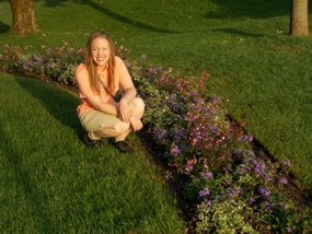 Flowers in the park 