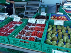 Mystery Berries at the Market