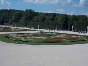Flower Designs