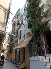 Flowering Vine