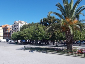 View From the Bench