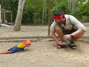 Two Copan visitors