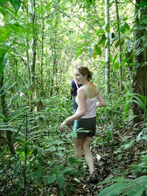 Enroute to the waterfalls