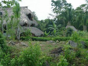 Oasis Chiyu from a distance
