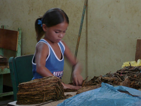 Child labor at the cigar factory