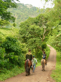 On horseback through the nature reserve