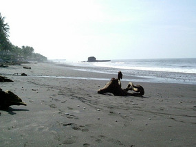 Black sand beach at Playa Zonte