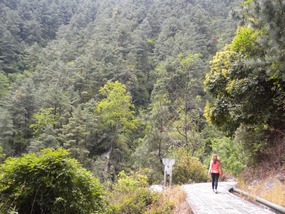 The nice, easy walk along the mountainside
