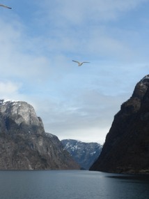 The birds were annoying, but made for a good photo