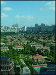 View from Our Window