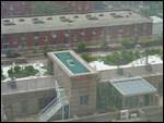 Rooftop Rock Garden