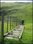 Kai Iwi Lakes trail