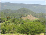 Tonina from a distance