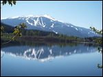 Whistler