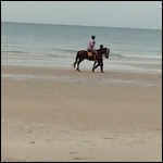 Beach patrol gives kids rides