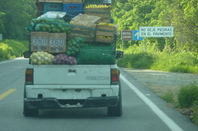Now thats a load of fruit!!