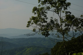 Wonder views