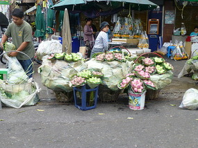 Flowers, Vegetable, Fruits of all kinds