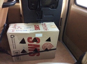 Rooster in a box