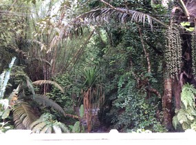Park