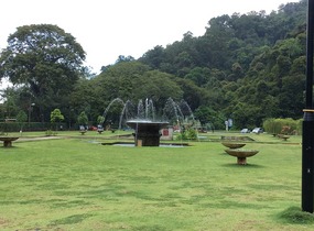 Park