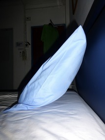 Pillow without Roy