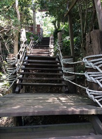 Stairs wood and rope
