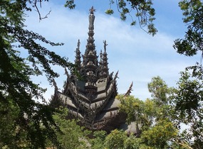 Thru the trees 