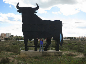 Osbourne bull