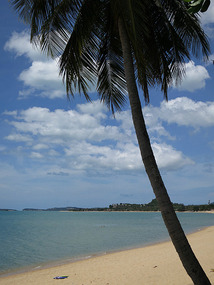 paradise view
