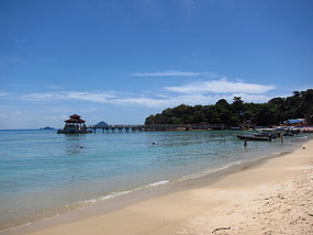Coral beach view