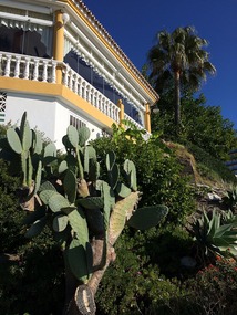 On our morning walk by the Mediterranean 
