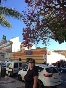 Cool tree with beautiful flowers