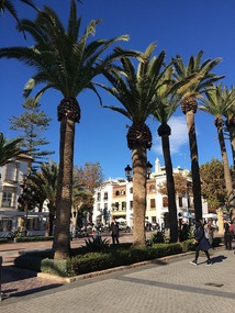 Main square