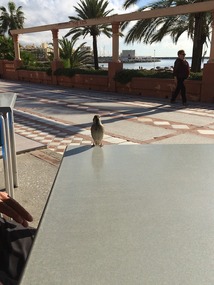 Friend that joined us for coffee