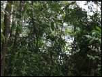 Iguazu Falls - From Brazil - First Sighting