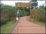 Iguazu Falls - From Argentina