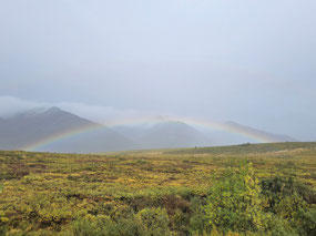 02 Rainbow Tundra
