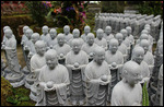 Mini Buddha's