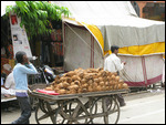 Coconut seller, Jaipur