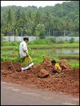 Roadside workers