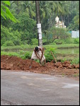 Wielding a pick - roadside repairs