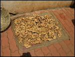 Ginger - Calangute market