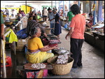 Calangute Fish Market