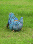 Tending the lawns, Sarnath