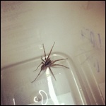 Gotcha! :)