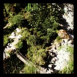 Trail Bridge