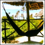 At the Kipepeo Lodge