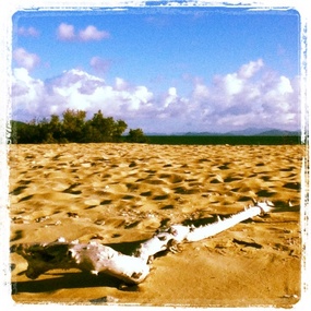 Langford Reef, Whitsunday's