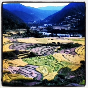 Punakha Valley